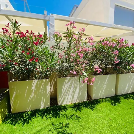 Villa Casa Vip